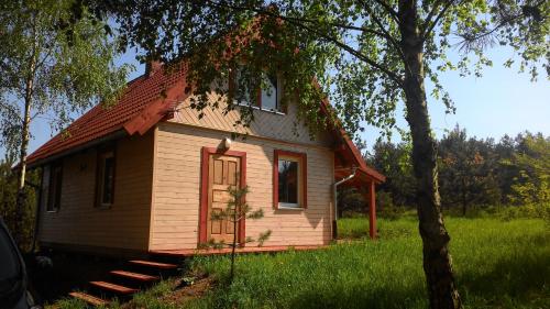 a small house in a field with a tree at Domek Letniskowy przy lesie in Kruklanki