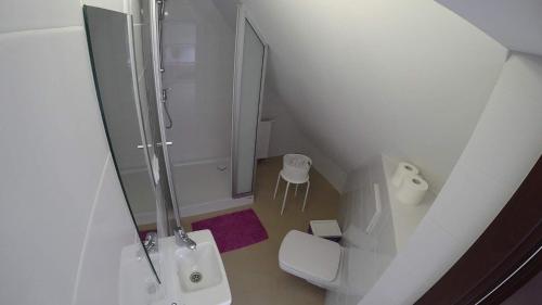 a white bathroom with a shower and a toilet at Apartamenty Kozienice in Kozienice