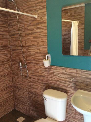 a bathroom with a toilet and a sink and a mirror at Cottages by the river in Rivadavia