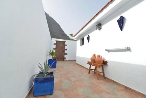 a patio with two potted plants on a white building at Apartamentos Finca Wapa in Frontera