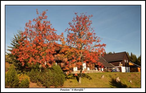 Penzion U Horejšů, Zadov - Churáňov