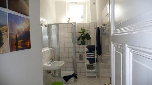 y baño pequeño con lavabo y ducha. en City-Ferienwohnung-Blankenburg, en Blankenburg