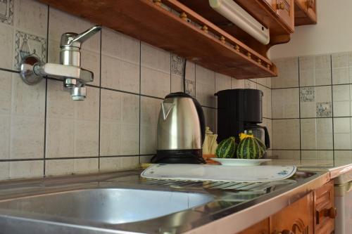 a kitchen counter with a sink and a mixer at Bisha Apartments in Ulcinj