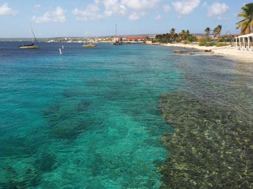 a beach with a group of boats in the water at Oasis guesthouse, Boutique Style Hotel in Kralendijk