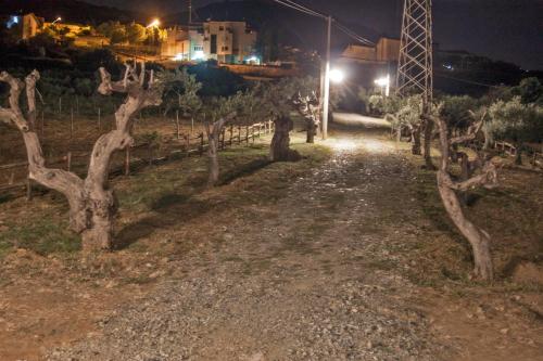 Φωτογραφία από το άλμπουμ του La Giara B&B σε San Demetrio Corone