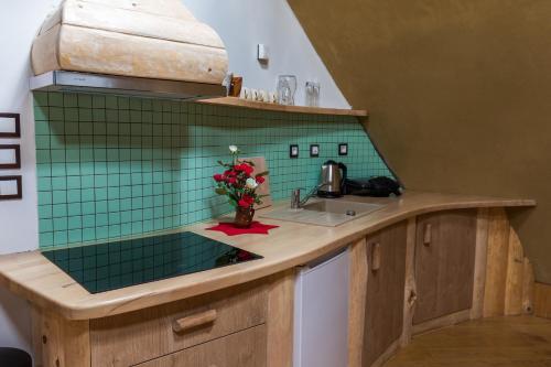 una cocina con azulejos verdes en la pared en Apartma Zemljanka, en Ljutomer