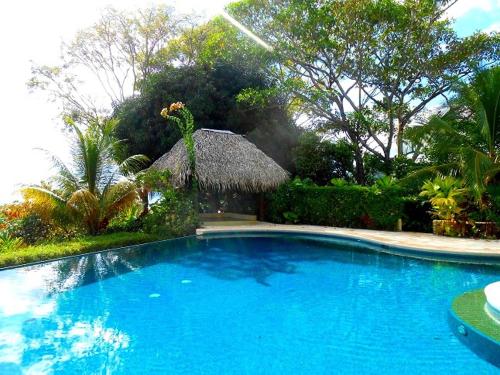 a large blue swimming pool with a straw hut at LagunaVista Villas in Carate