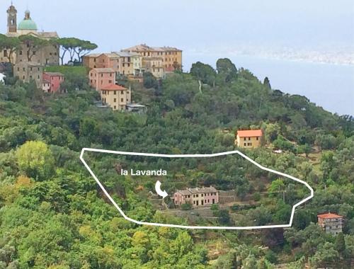 Gallery image of Villa Olivari - apt la Lavanda in Camogli