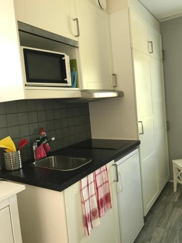 una cucina con lavandino e forno a microonde di Apartment LeLök a Lemland