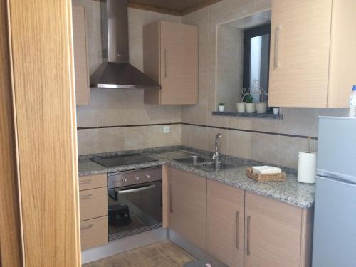 a kitchen with wooden cabinets and a sink and a refrigerator at Turismo Rural casa da céu in Amiães de Cima