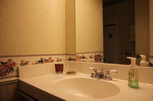 a bathroom sink with a bottle of soap and a mirror at Frisco Lodge in Frisco