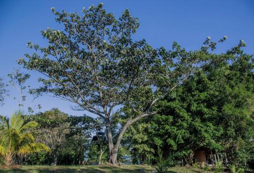 HuasaiWasi Ecolodge – Photos 4