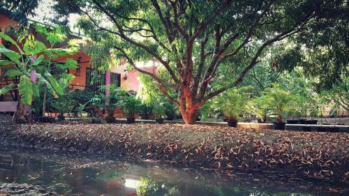 a tree in front of a building next to a body of water at Warakorn Baansuan Amphawa in Amphawa