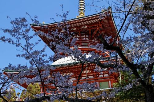 a pagoda with a flowering tree in front of it at Welco Narita in Narita
