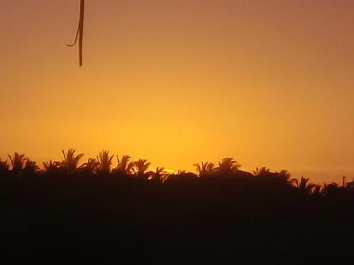 a sunset with palm trees and a kite in the sky at Yala Peace Cottages in Tissamaharama