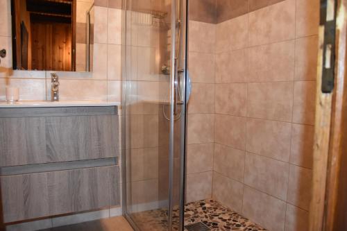 a shower with a glass door next to a sink at La Grange in Pralognan-la-Vanoise