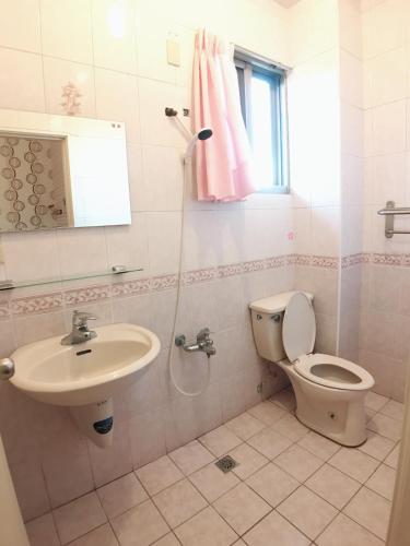 a bathroom with a toilet and a sink at 衿日林民宿丨童玩節對面丨可12-30人包棟烤肉戲水池 in Dongshan