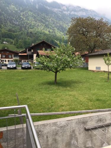 a tree in the middle of a yard with cars parked at Swiss Chalet Holidays Ringgenberg in Ringgenberg
