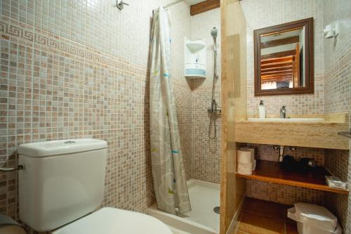 a bathroom with a toilet and a shower at Casa Checa Apartment 1 in Cotillo