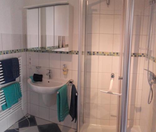 a bathroom with a sink and a shower at Ferienwohnung Zur Egge in Bad Driburg