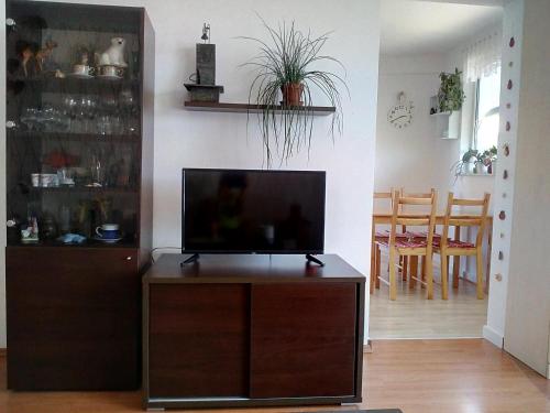 uma sala de estar com uma televisão de ecrã plano num centro de entretenimento em Family apartment B&B em Biograd na Moru