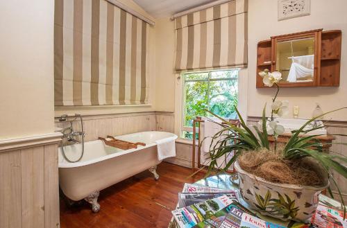 un bagno con vasca e pianta in vaso di Goble Palms Guest Lodge & Urban Retreat a Durban