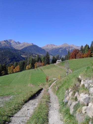 a dirt road in a field with mountains in the background at CASA IDA - ClPAT 22253 in Tregiovo