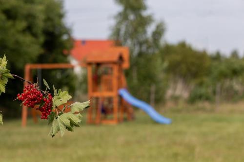 a playground in a field with a blue swing at Windmill vacation home in Ledzin near Baltic Sea in Niechorze