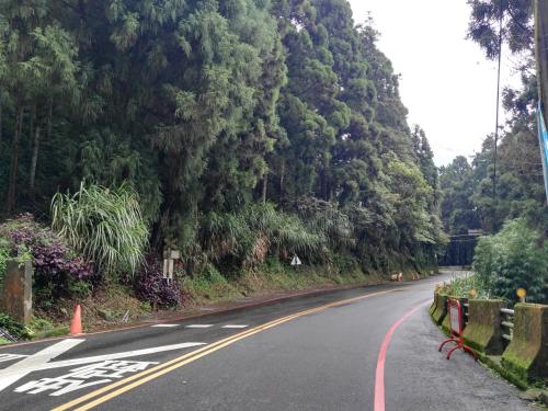 an empty road with trees on the side of it at Qun Feng Hotel in Fenchihu