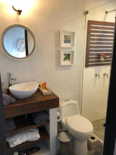 a bathroom with a sink and a toilet and a mirror at Reserva Natural Tierra Adentro in Minca