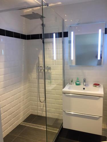 une salle de bain avec un lavabo et une douche en verre dans l'établissement appartement Terrasse magnifique vue mer et yachts, à Antibes