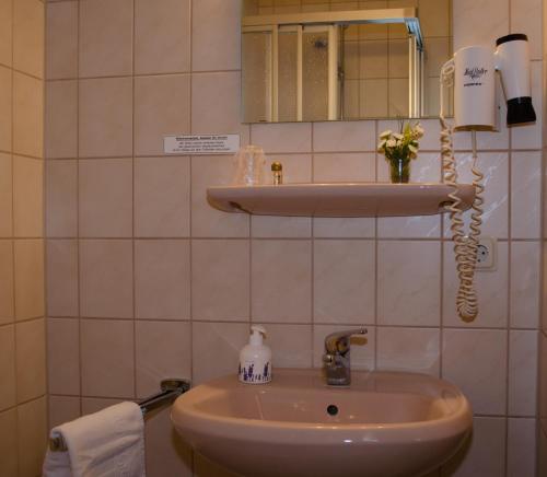 a bathroom with a sink and a mirror at Hotel & Restaurant Druidenstein in Trautenstein