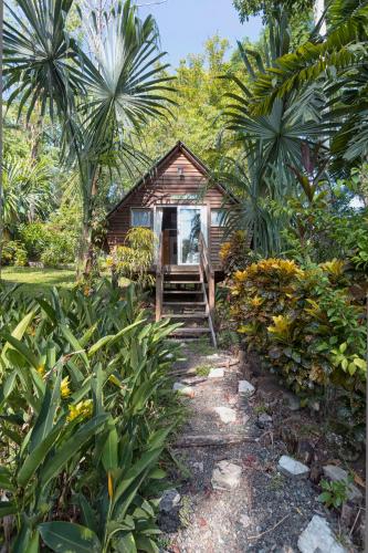 Zahrada ubytování Hotel Hacienda Tijax Jungle Logde