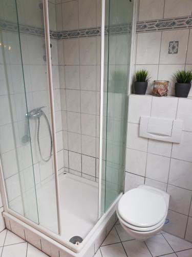 a bathroom with a shower and a toilet at Fa Haack in Neuried