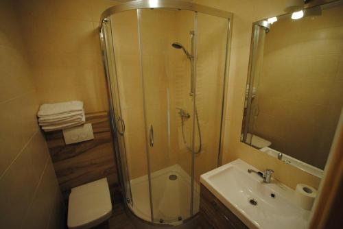 ブコビナ・タトシャンスカにあるPokoje u Staszkaのバスルーム(シャワー、トイレ、シンク付)
