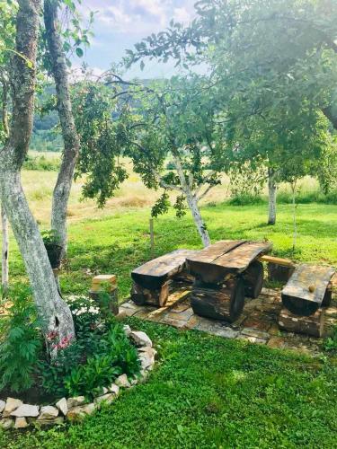 a picnic table under a tree in a field at Apartments Paradise in Ličko Petrovo Selo