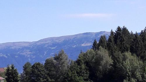 a mountain in the distance with trees in the foreground at Ferienwohnung Gästehaus Inge in Zlan