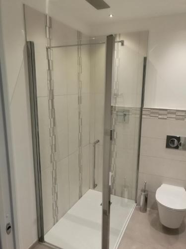 a bathroom with a toilet and a glass shower stall at B&B La Maison D' Amelie Camere e Appartamenti in Fenis