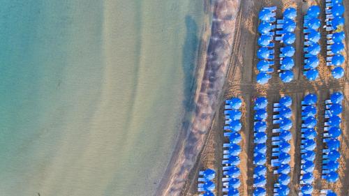 an overhead view of a bunch of blue cars parked next to the ocean at Lordos Beach Hotel & Spa in Larnaka