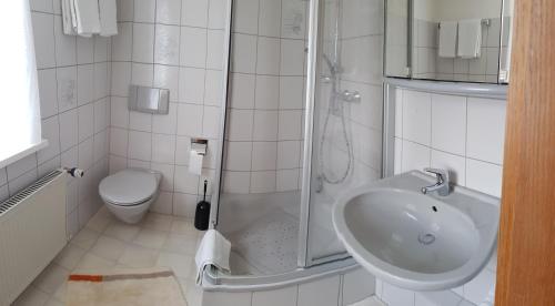 ein Bad mit einer Dusche, einem Waschbecken und einem WC in der Unterkunft Pension Bergfrieden in Schmallenberg