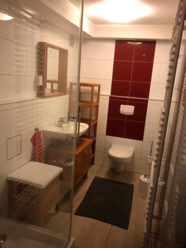 ein Badezimmer mit Waschbecken und Toilette in der Unterkunft Ferienwohnung Rose in Villingen-Schwenningen