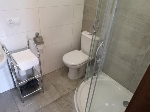 a small bathroom with a toilet and a shower at Agroturystyka Żubrówka in Żubrówka