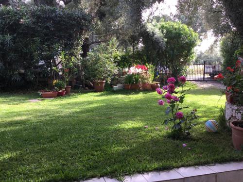 a yard with a lot of plants and flowers at ntinas house in Tsoukaladhes