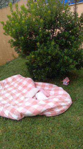 a pink and white blanket on the grass in front of a bush at Casa do Pereiro in Vieira do Minho