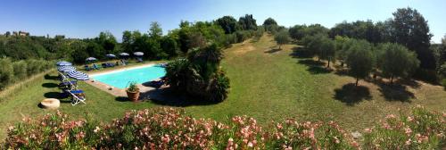 an aerial view of a swimming pool with umbrellas at Agriturismo La Palazzina in Palaia