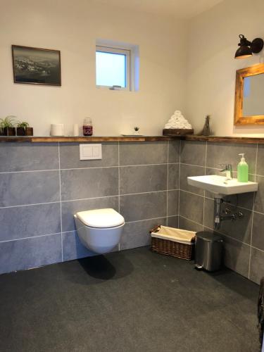 a bathroom with a toilet and a sink at Hrafnavellir Guest House in Hrafnavellir