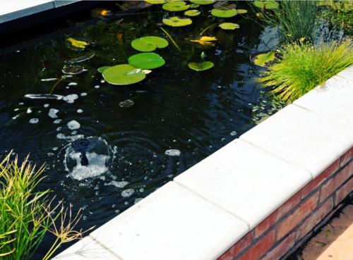 a koi pond with lilies in a garden at Dyers House in Christchurch