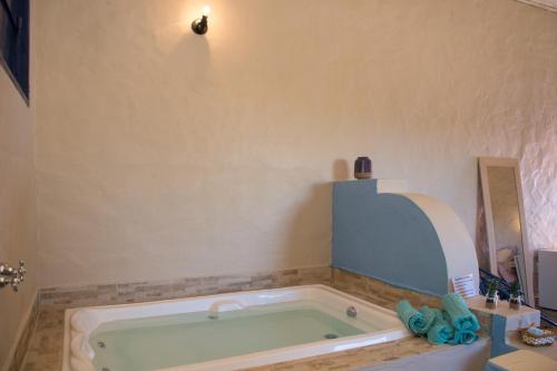 a bathroom with a bath tub in a room at Villa dos Pireneus in Pirenópolis