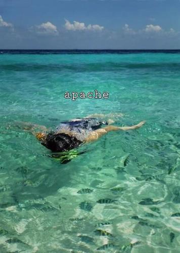 a turtle swimming in the water in the ocean at Apache Loongdum Koh Samed in Ko Samed