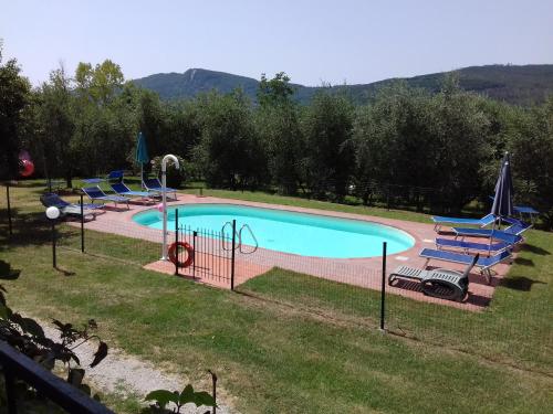 a large swimming pool with blue chairs in a yard at Terrasanta in Santa Fiora